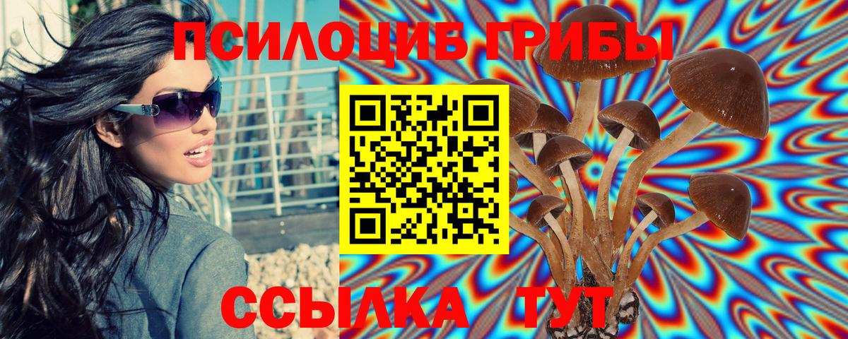 Галлюциногенные грибы Psilocybine cubensis  Псилоцибиновые грибы Psilocybe  Брянск  Вход с VPN 